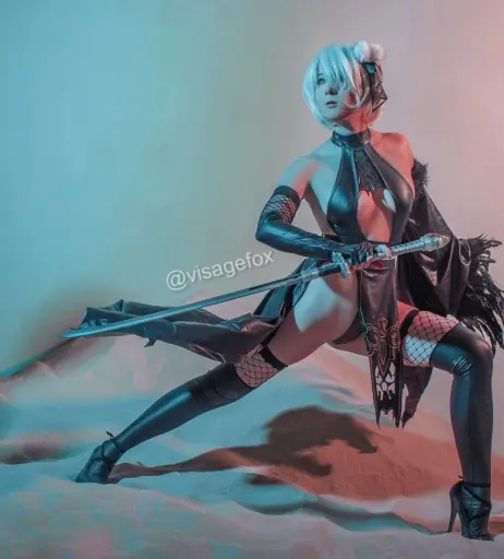 Image 12322582 from visagefox