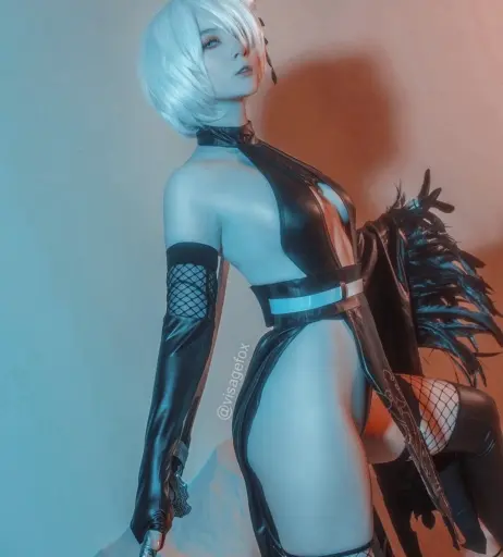 Image 12322577 from visagefox