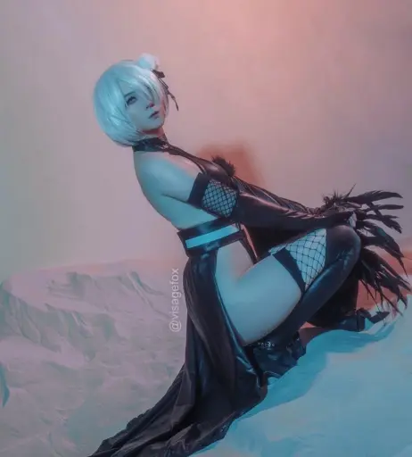 Image 12322578 from visagefox