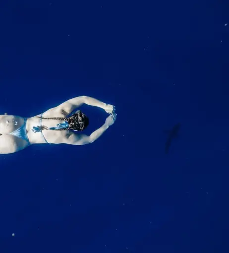 Image 12322060 from Kendall Reusing