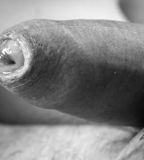 Image 12332615 from milkathenaughtyone