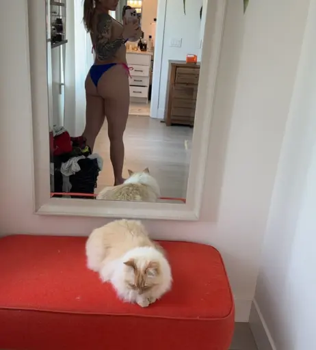 Image 12304195 from Foxyzilla