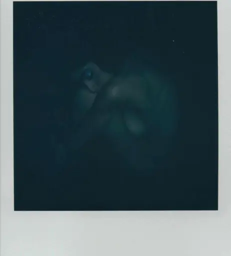 Image 12302179 from Antocarlesii