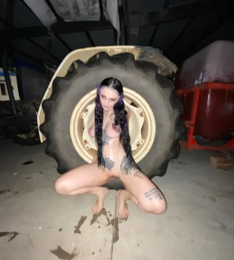 Image 12309097 from Zheani