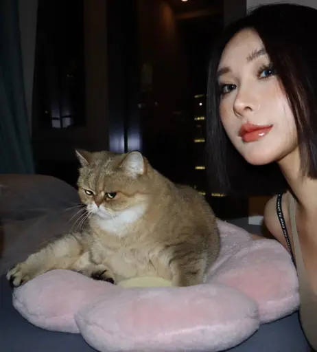 Image 12268177 from Ivy ai.lin20_