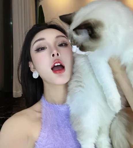 Image 12268227 from Ivy ai.lin20_