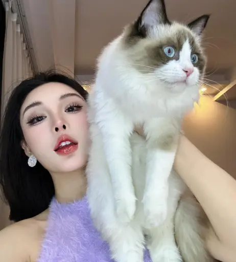 Image 12268225 from Ivy ai.lin20_