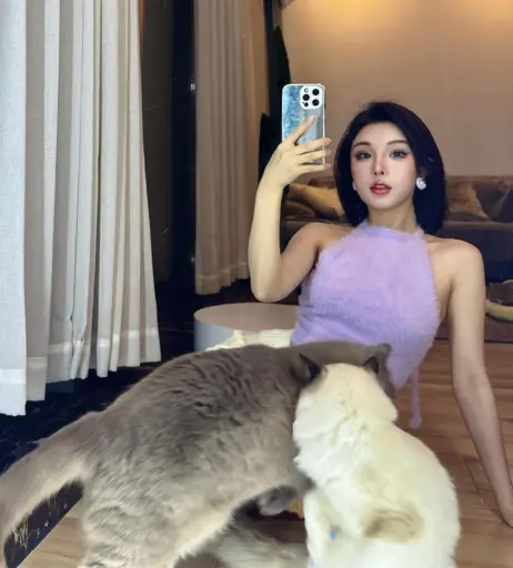 Image 12268234 from Ivy ai.lin20_