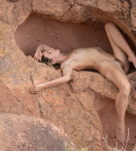 Image 12267330 from Vivian Cove