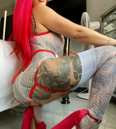 Image 12277921 from Donna Wildcard