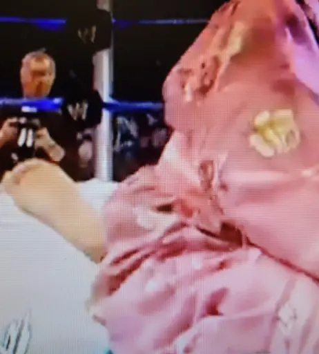 Image 12271123 from WWE Torrie Wilson