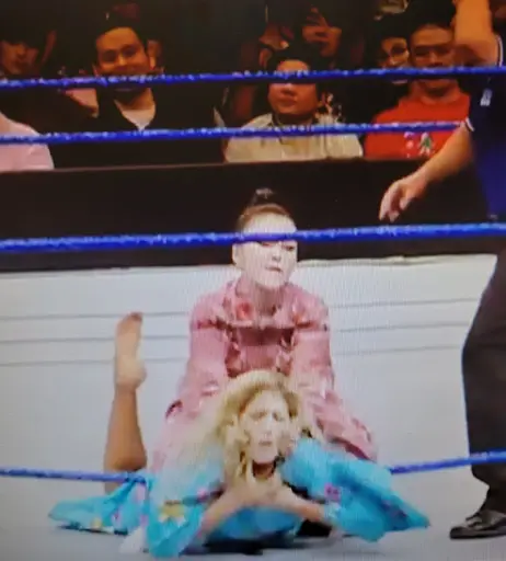 Image 12271119 from WWE Torrie Wilson