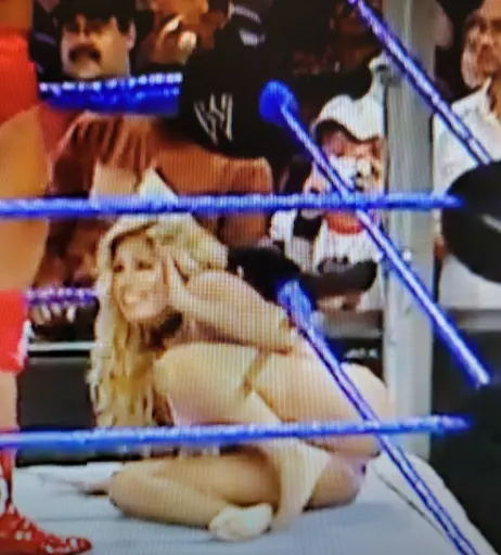 Image 12271094 from WWE Torrie Wilson