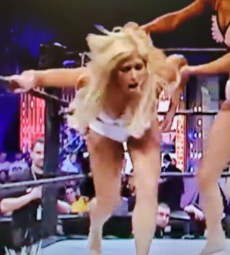 Image 12271020 from WWE Torrie Wilson