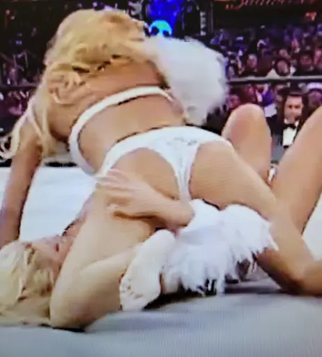 Image 12271010 from WWE Torrie Wilson