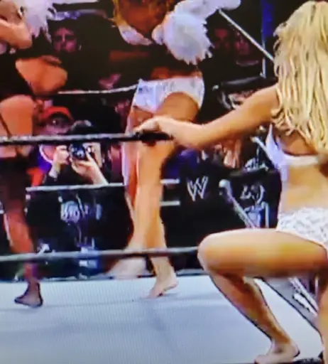 Image 12271004 from WWE Torrie Wilson