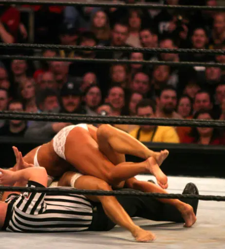 Image 12270997 from WWE Torrie Wilson