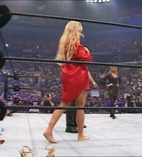 Image 12270981 from WWE Torrie Wilson