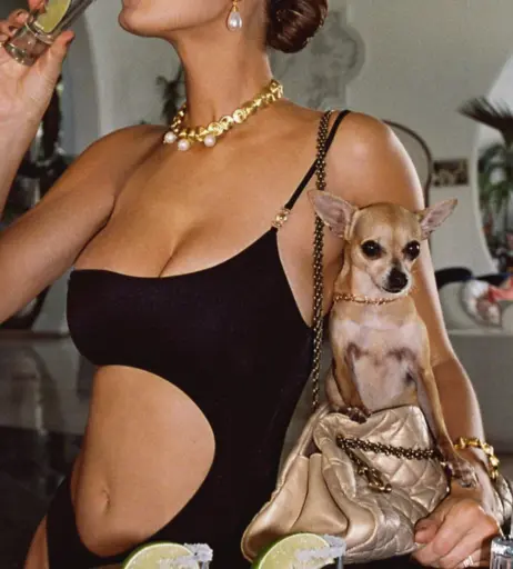 Image 12270570 from Ophelie Guillermand