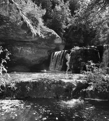 Image 12270721 from Ilena Ingwersen