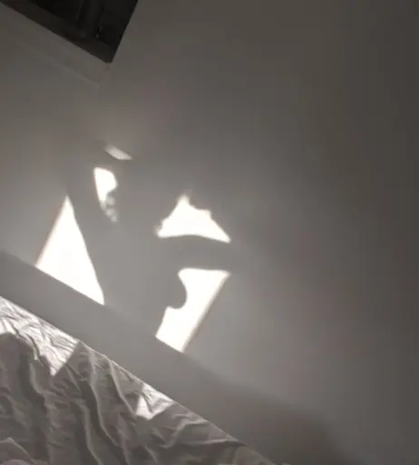 Image 12273369 from Katie Simrell