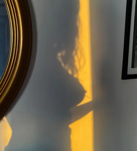 Image 12237231 from __s.asha____