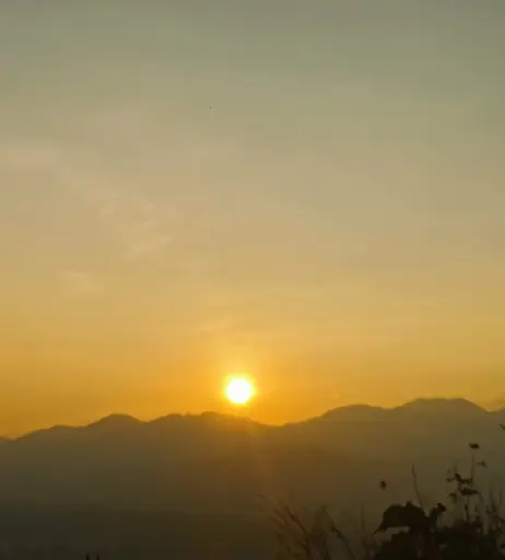 Image 12290236 from Miss Flora Femdom / Miss Flora Berlin