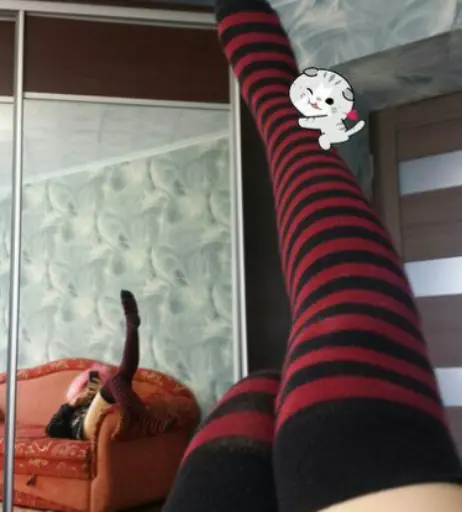 Image 12293539 from Linofilia