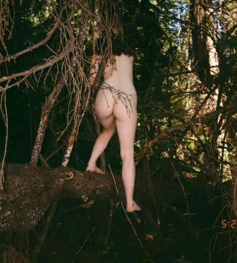 Image 12284740 from PutinLoxEbany