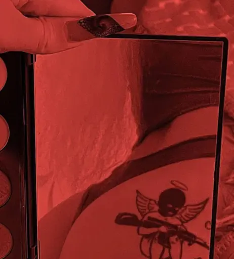 Image 12289047 from Nasteppa