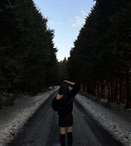 Image 12175667 from 민주