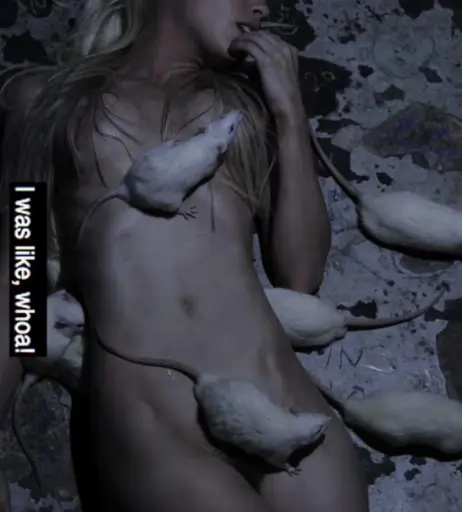 Image 12115519 from Yolandi Visser / Yo-landi Vi$$er