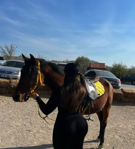 Image 12116505 from Menekşe Nur Fırat