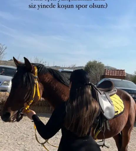 Image 12116504 from Menekşe Nur Fırat