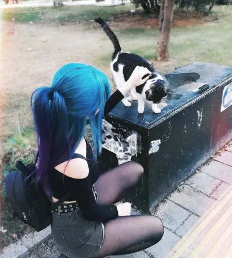 Image 12119677 from Aldreann