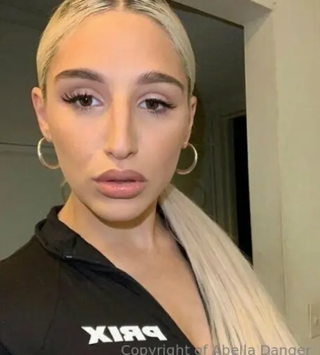 Image 1212821 from Abella Danger