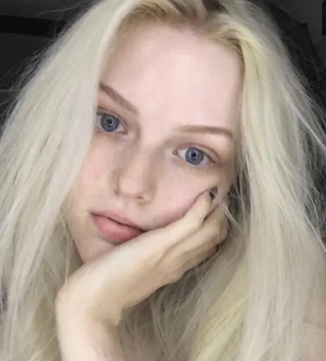 Image 12126223 from Fauxre