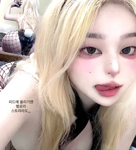 Image 12134348 from latulip_0