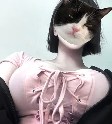 Image 12134245 from latulip_0