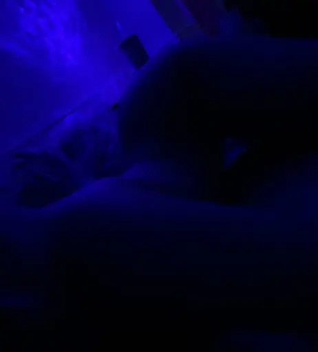 Image 12053019 from Shayna Laliberte / Shaynalaliberte / Shayshaypaige / Shaypay123