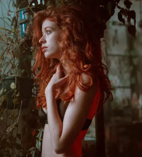 Image 12067719 from Sophie.srm