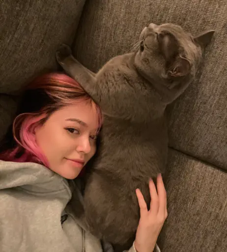 Image 12061423 from Sidsityttv / sidsity / Sadeel