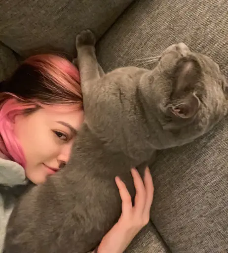 Image 12061428 from Sidsityttv / sidsity / Sadeel