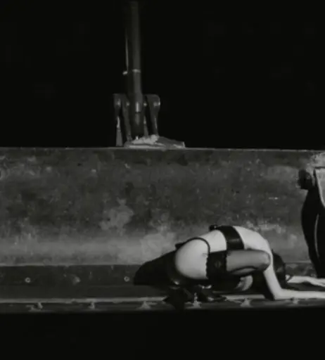 Image 12063556 from Sephira Lily Street / Kingsephi