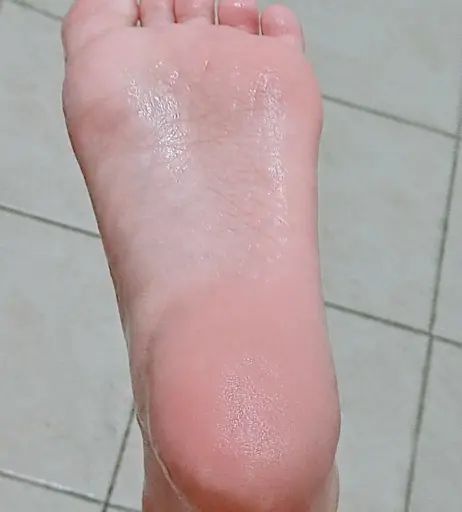 Image 12076204 from Lizyhsan