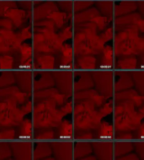 Image 12016321 from Lina Luxa