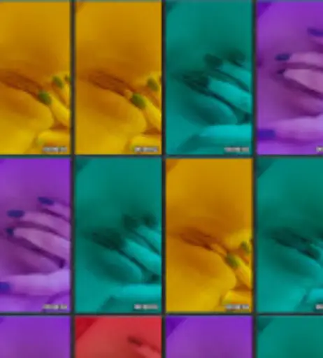 Image 12016318 from Lina Luxa