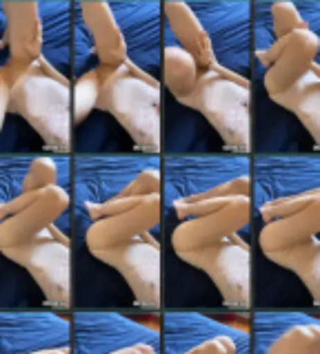 Image 12016341 from Lina Luxa