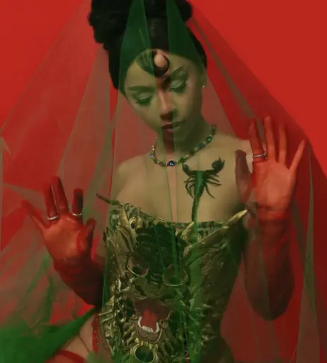 Image 12028516 from Mariah the Scientist / Mariah Amani Buckles / mariahthescientist