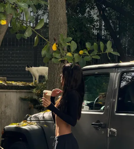 Image 12038104 from Pelinay İgit